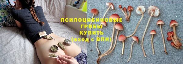 ECSTASY Алексин