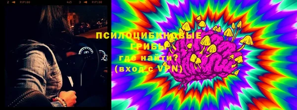 шишки Алексеевка